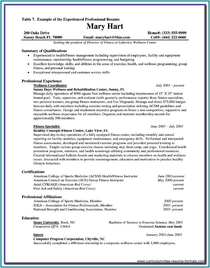 Resume Format Examples For Experienced