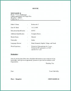 Resume Format Examples For Freshers