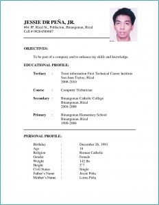 Resume Format Examples For Job Application