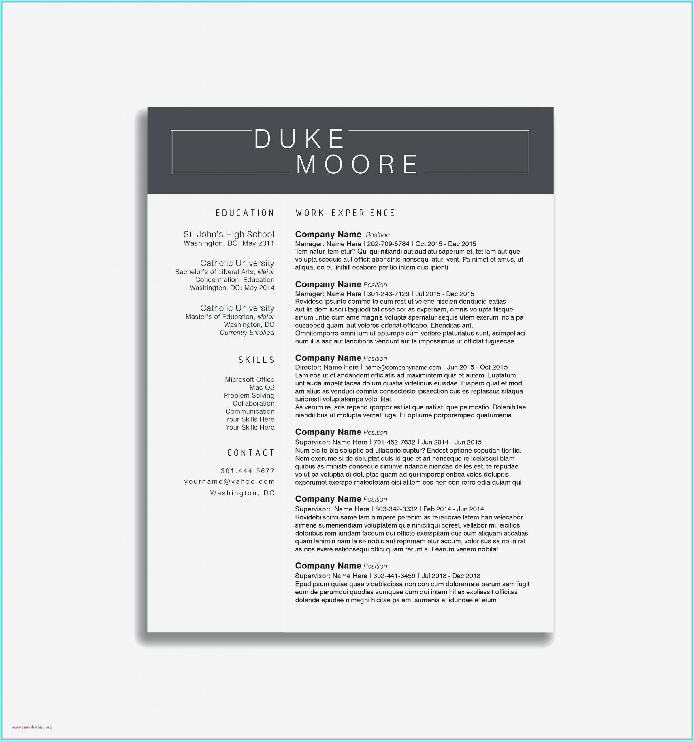 Resume Format For Executives