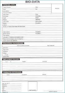 Resume Format Pdf Free