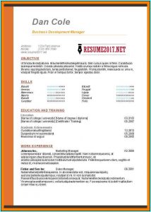 Resume Formatting Examples 2017