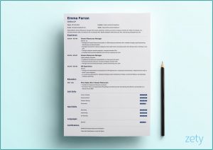 Resume Layout Examples Design