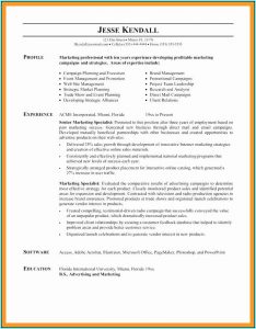 Resume Professional Writers