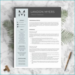 Resume Professional Writers Promo Code 2019