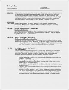 Resume Sample For Executives
