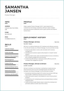 Resume Sample Template Free