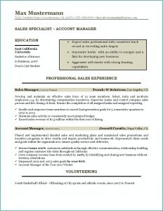 Resume Service Cincinnati Ohio