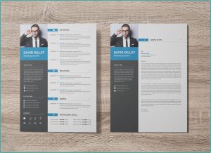 Resume Template For Executives