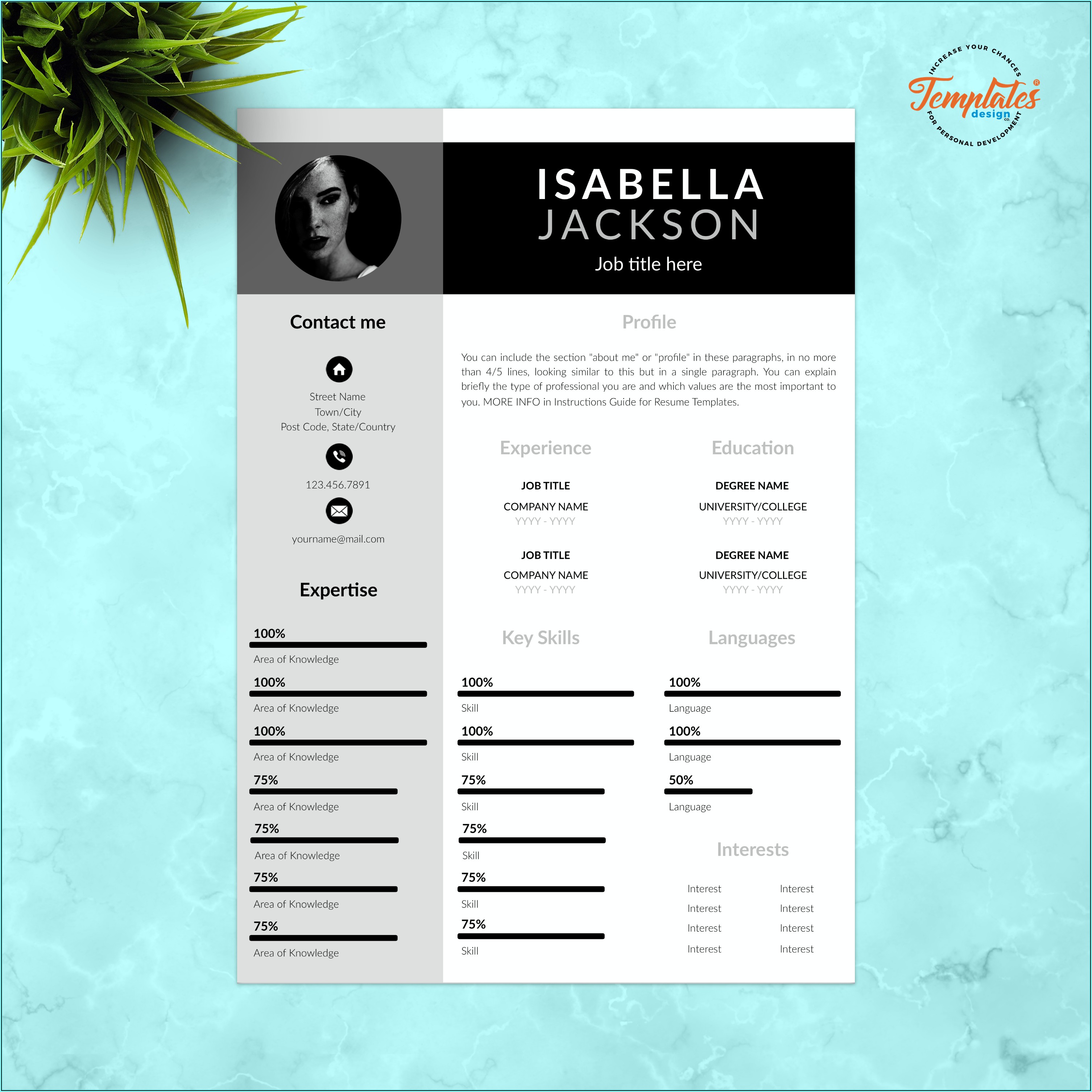 Resume Template For Managers Executives