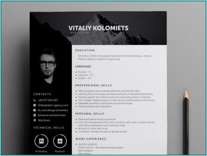 Resume Template For Professional