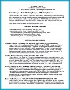 Resume Template Software Architect