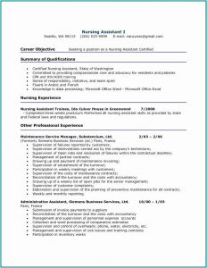 Resume Template Software Engineer Word