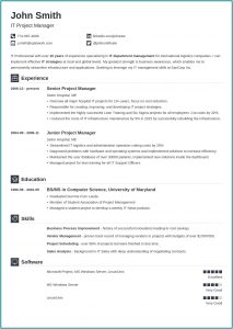 Resume Templates For Professional
