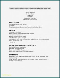 Resume Templates For Professionals Free Download