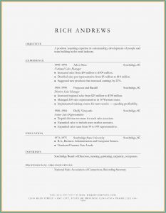 Resume Templates For Sales And Marketing