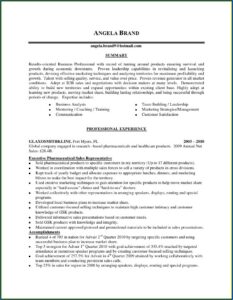 Resume Templates For Sales Associate