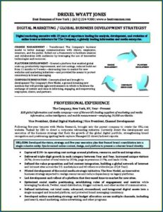 Resume Templates For Sales Executive