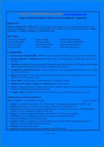 Resumes For Accountants And Financial Professionals