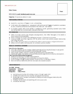 Sales Executive Cv Template Download