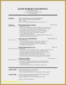 Sales Resume Format Free Download
