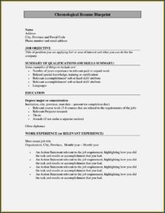 Sample Soft Copy Of Resume