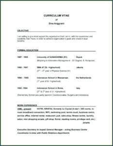 Samples Of A Good Resume Objective