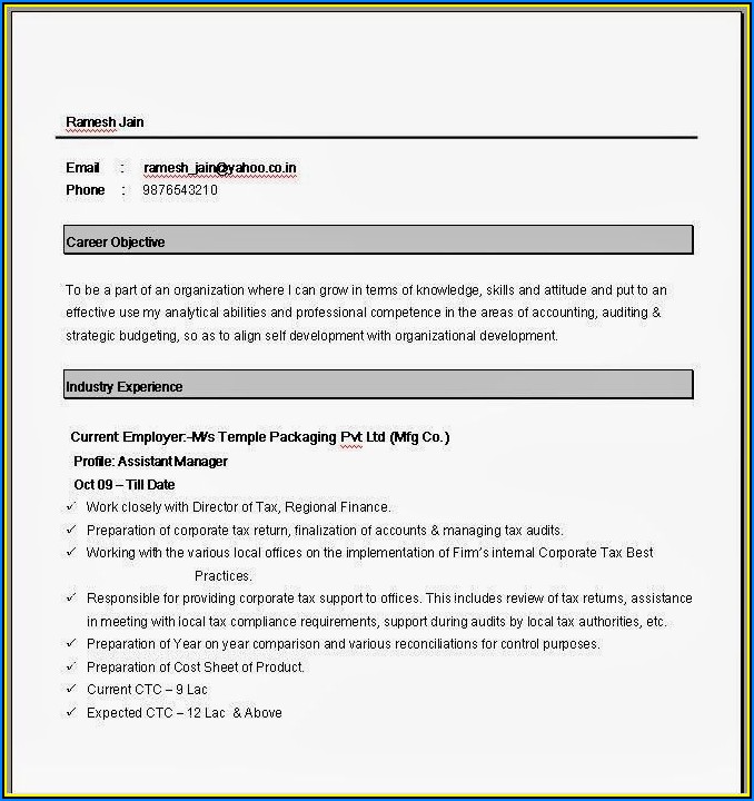 Simple Job Resume Format Doc