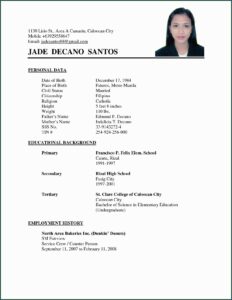 Simple Resume Format Examples