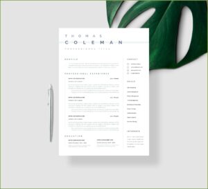 Simple Resume Template Download Word