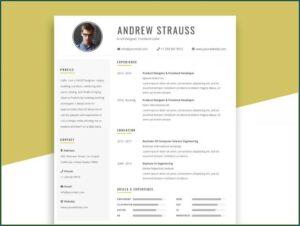 Simple Resume Template Free