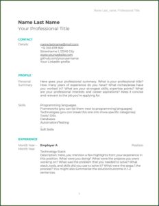 Software Cv Template