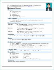Solar Technician Resume Sample