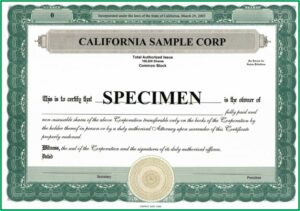 Stock Certificate Template Microsoft Word