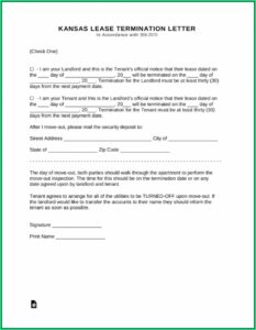 Termination Of Tenancy Agreement Template Letter