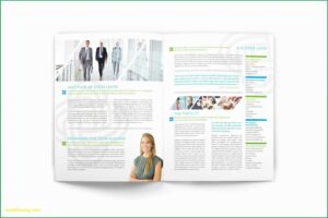 Tri Fold Brochure Template Word