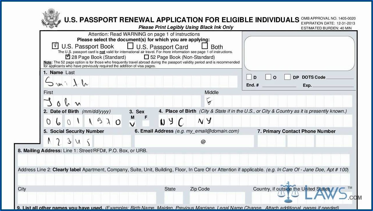United States Passport Renewal Form Ds 11