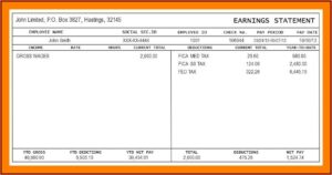 1099 Contractor Pay Stub Template