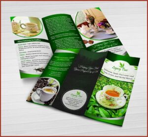 11x17 Tri Fold Brochure Template