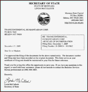 501 C 3 Forms Template