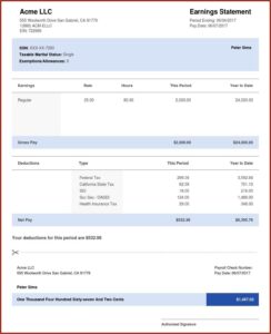 Adp Pay Stub Sample Free