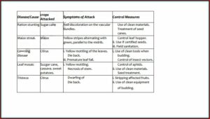 Agriculture Form 2 Revision Questions And Answers