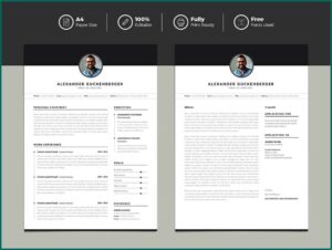 Best Free Resume Templates 2019 Word