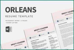 Best Free Resume Templates Microsoft Word