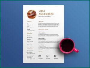 Best Free Resume Templates Word