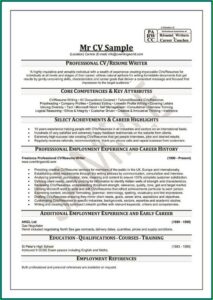 Best Online Professional Resume Writers