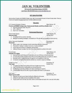 Best Resume Maker Software