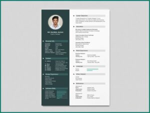 Best Resume Templates Free Download 2018