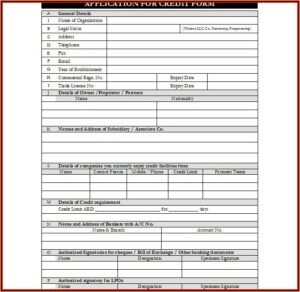Business Credit Application Template