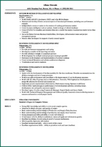 Business Intelligence Developer Sample Resume